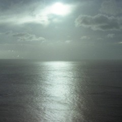 Micronesian Beauty (Senyorita)