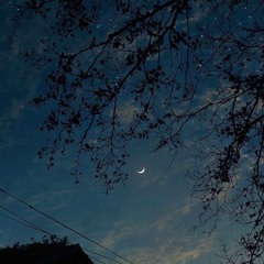 #Niên luân/年轮