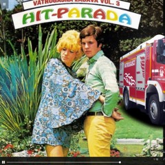 Vatrogasci - Samo zbog litre (shesto remix)