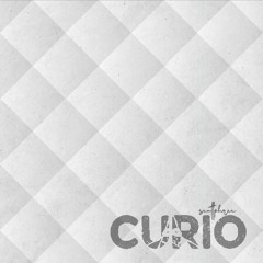 105 CURIO [house] 2022
