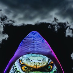 Snake Charmer The Snake man