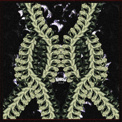 Hallow - Bodybags (DIRECT DL)