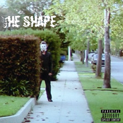 THE SHAPE