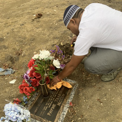 Dae Dae X Deko X Sire - Young OG's