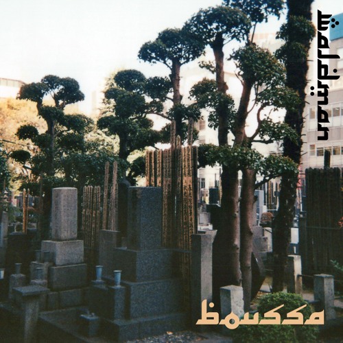 PREMIERE: Waldman - Palindrome [Lief Records]