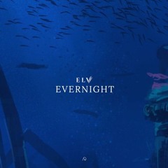 Evernight (New Dawn Release)
