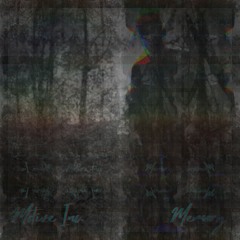 Wanderer (Slowed + Reverb)