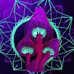 Socio - Gramy Bongy Chlasty  Hahaha