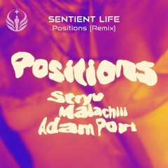 Stryv, Malachiii, Adam Port - Positions (Sentient Life Remix)