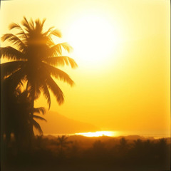 Estrela Tamys (Rock)