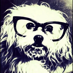 WhY DiD iT TaKe sO LoNg