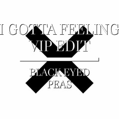 Black Eyed Peas - I Gotta Feeling - VIP EDIT