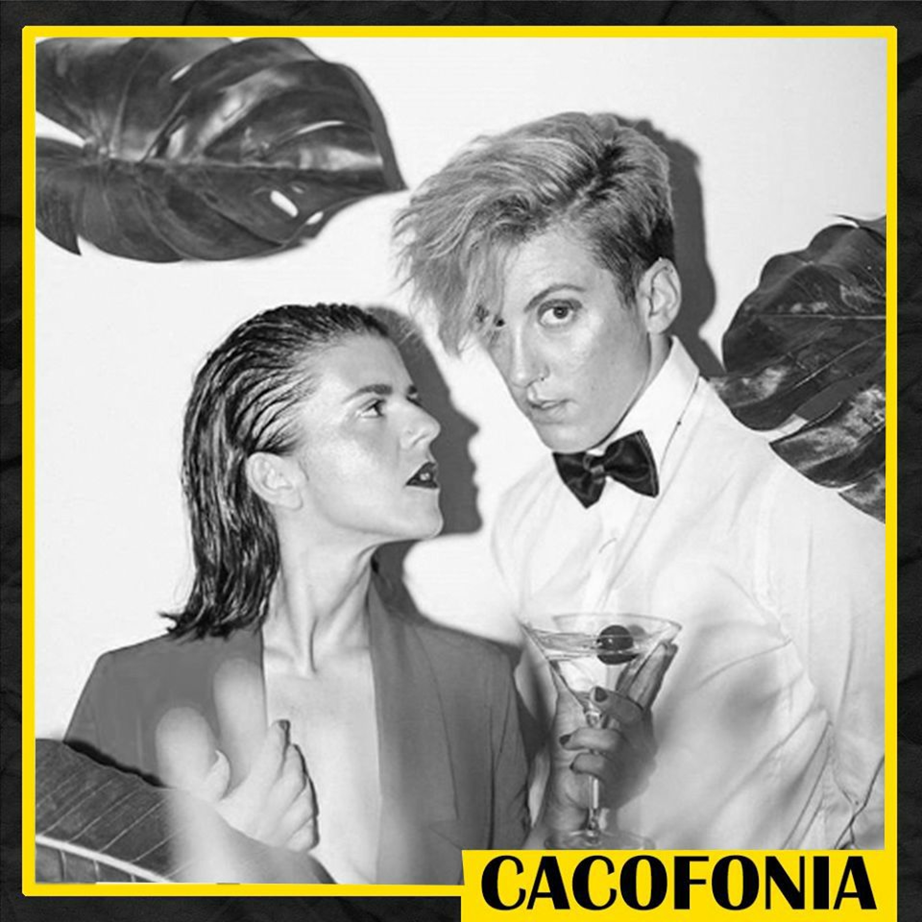 Cacofonia