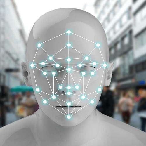 Brothers of the Freaked