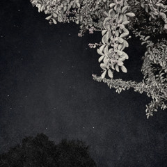 Freeze Corleone x Evenwind - Wabisa