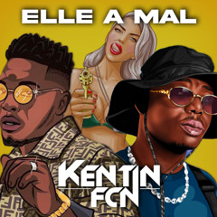 Ninho Ft. Niska - Elle a Mal (Kentin FcN Bouyon REMIX)
