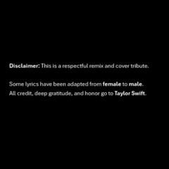 Taylor Swift - You Belong With Me (Yosuke's cover and remix)