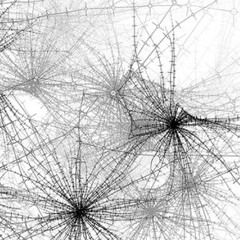 String Quartet No. 3: Emergence (2015) | JACK Quartet