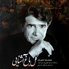 خوشا آن دل که دلدارش تو گردی