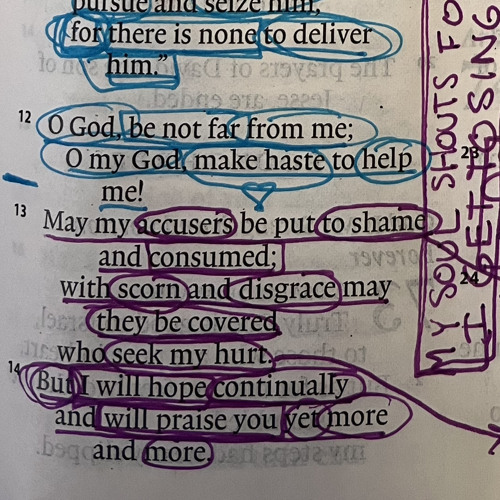 Psalm 71:13-24 - Mike Neff (C, C/B, Am, F, Dm, G)