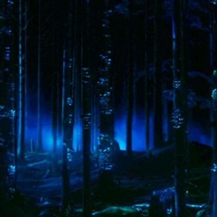 Mystery Sector [Night]