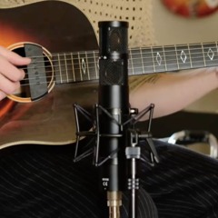P-24 Acoustic Guitar Sample - 'Dry'