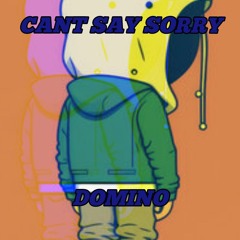 Big Domino - Cant Say Sorry