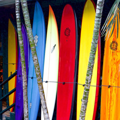 Surf Season is open