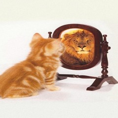 Shopping Spree (dem0nant)