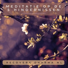 Meditatie Op De 5 Hindernissen (uitgebreide versie)