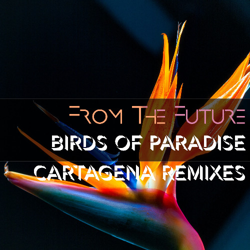 CΛRTΛGENΛ (Inferno Remix Edit)