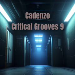 Cadenzo - Critical Grooves 9