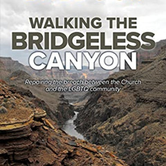 [Free] EPUB 🗸 Walking the Bridgeless Canyon: Repairing the Breach Between the Church
