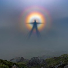 SSRI Sunshine Sequence