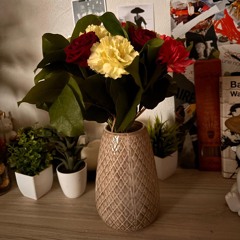 Ella des idées de folies (instru)