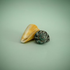 Simpli - Wonder (Midnight)