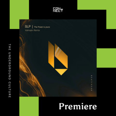 PREMIERE: SLP - The Power Is Yours (Valmaiin Remix) [Beatfreak Recordings]