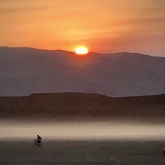 Burning Man 2020 + Monday Night Last Set