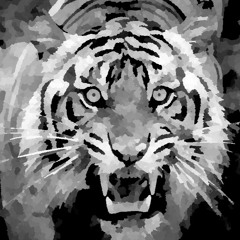 Tiger (Mix)