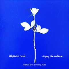 Depeche Mode - Enjoy The Silence ( Andrea Erre Bootleg 2k25)