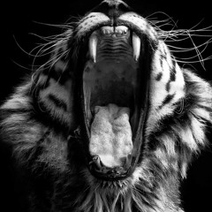 Anecdoche - Predator Pt. 2: Fury