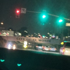 MoneySign Flow