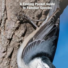 ⚡EBOOK✔ Delaware Birds: A Folding Pocket Guide to Familiar Species (Wildlife and