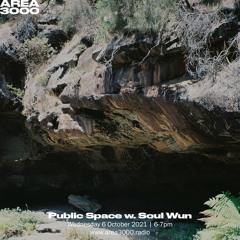 Public Space w. Soul Wun - 6 October 2021