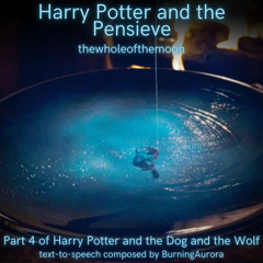 The Pensieve: Part 2 by thewholeofthemoon | Harry Potter and the Dog and the Wolf: Part 4