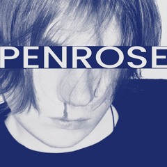 metaego – PENROSE