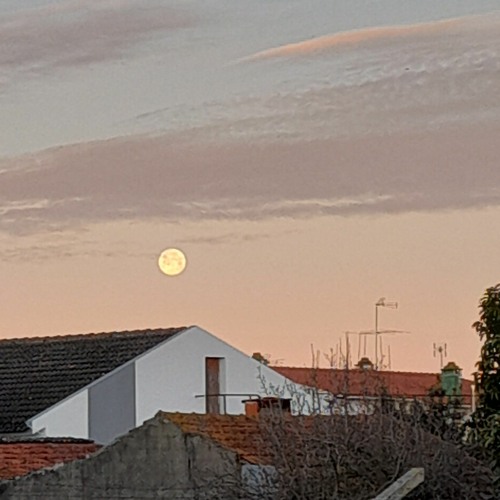 wait (nohidea + killedmyself)