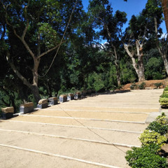 නේවාසික භාවනා වැඩසටහන-07 : 2022-08-13