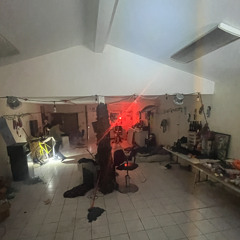 noho park at sundown