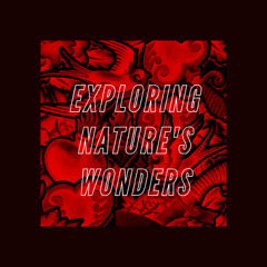 Exploring Nature's Wonders